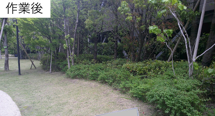写真4