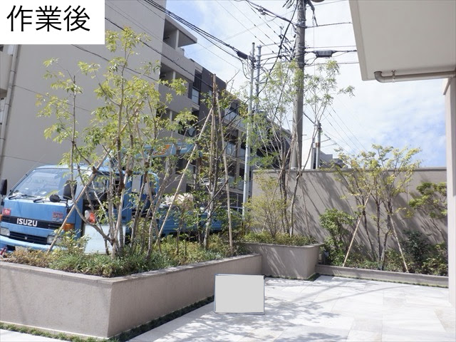 古賀緑地建設